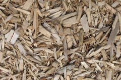 biomass boilers Tweedsmuir